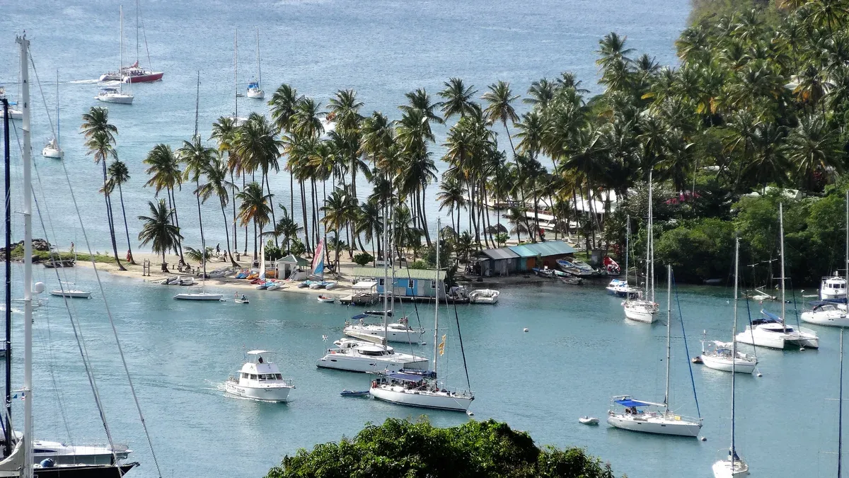 Sailboats and catamarans anchored in a palm-fringed Caribbean bay, the kind of anchorage used on a Cancun sailing tour